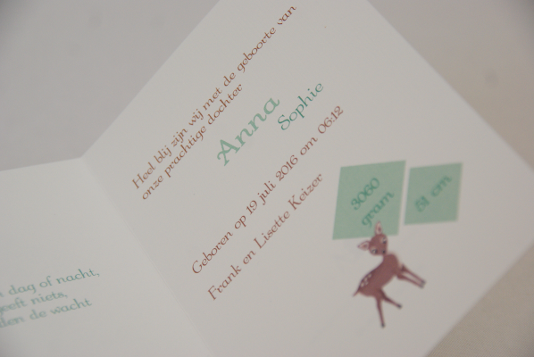 geboortekaartje anna lichtgroen 